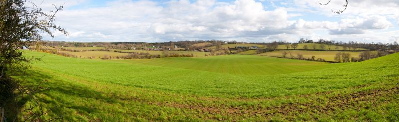 Views of farmland along Monree Road